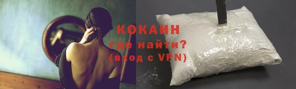 дживик Зерноград