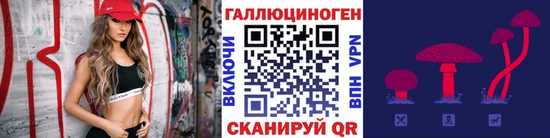 Псилоцибиновые грибы Psilocybine cubensis  Купить  Карачаевск 